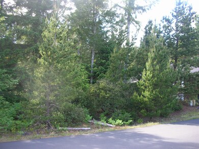 Ponderosa Loop Lot