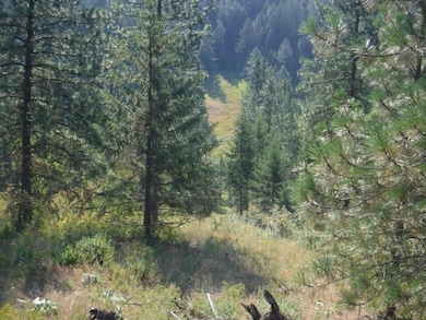 Lot 1 SW Moose Ridge Way, Loon Lake, WA 99148 - photo 7