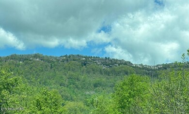 IMG_3210