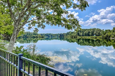 1216 Hammrick Ln, Johns Island, SC 29455 - photo 3