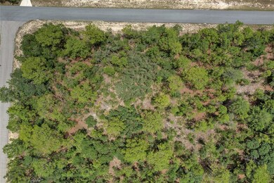 6184 W Eldorado Ln, Beverly Hills, FL 34465 - photo 4