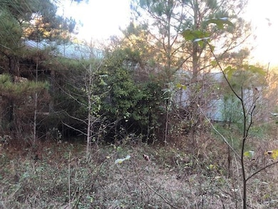 0 Tommy McGough Rd, Nauvoo, AL 35578 - photo 3