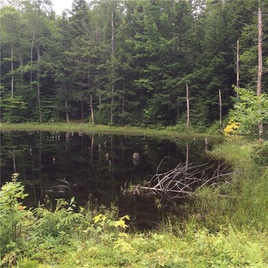 32 Fernalds Way, Stow, ME 04037 - photo 4