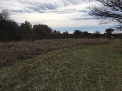 100 Buckner Rd, Lipan, TX 76462 - photo 6