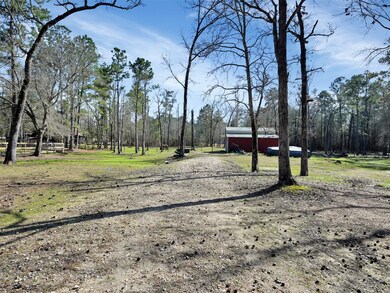 10111 Woodlane Blvd, Magnolia, TX 77354 - photo 6