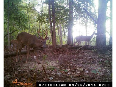 0 Cunningham Dr unit 720240, Bella Vista, AR 72715 - photo 3