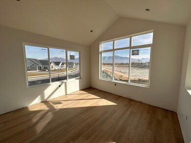 Spare room with wood finished floors, a mountain view, vaulted ceiling, and healthy amount of natural light