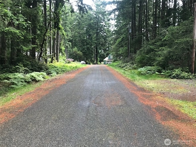 11205 110th St, Anderson Island, WA 98303 - photo 3