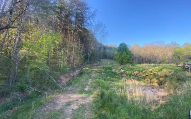 Additional View