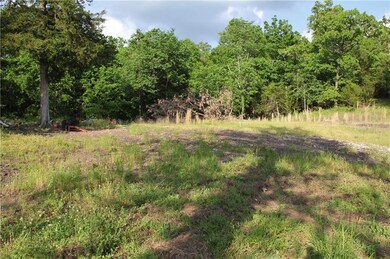 10864 Bray Rd, Elkins, AR 72727 - photo 7