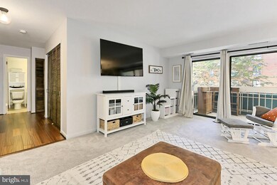 6139 Leesburg Pike unit 203, Baileys Crossroads, VA 22041 - photo 3