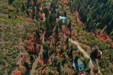 DJI_0575