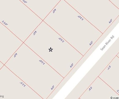 316 Sean River Rd, Conway, SC 29526 - photo 6