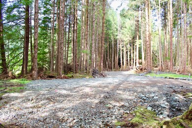 4 Chilkat Rd, Remote, AK 99921 - photo 6