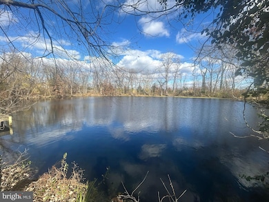 45 E Broad Way, Lovettsville, VA 20180 - photo 3