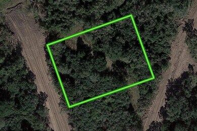 4607 Cottonwood Run, Alvin, TX 77511 - photo 2