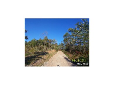 Gravel Road to Property
