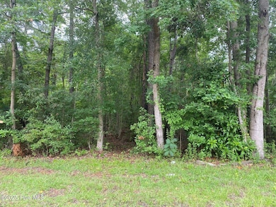 0 Lake Cole, Midway Park, NC 28544 - photo 2