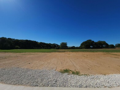 Lot 6