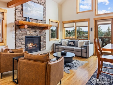 147 Willowstone Dr unit 2, Estes Park, CO 80517 - photo 5