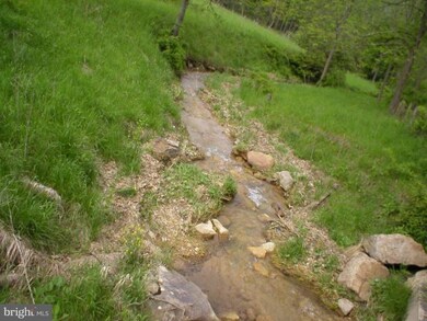 1920 S Fork Dumpling Run, Moorefield, WV 26836 - photo 6