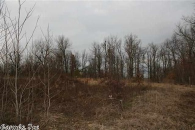 1193 Greene Road 731, Paragould, AR 72450 - photo 6