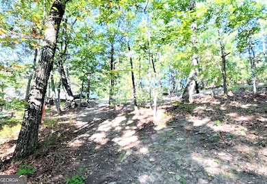 802 Rock Mountain Rd, Lakemont, GA 30552 - photo 6
