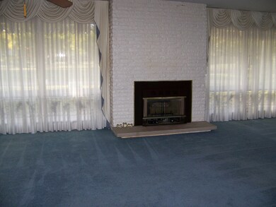 118 E Park View Dr, Forrest, IL 61741 - photo 5