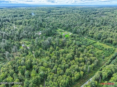 6114 E Altra Dr, Fishhook, AK 99645 - photo 7