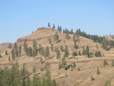 0 N Fork 40 unit 21, John Day, OR 97845 - photo 3