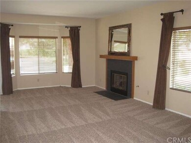 Large light filled living room with new carpet and