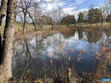 14172 Promise Way Ln, Orange, VA 22960 - photo 5