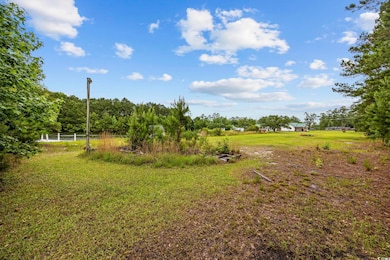 View of grassy yard