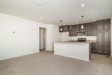 80 Mora Blvd unit 436-402, O'Fallon, MO 63368 - photo 5
