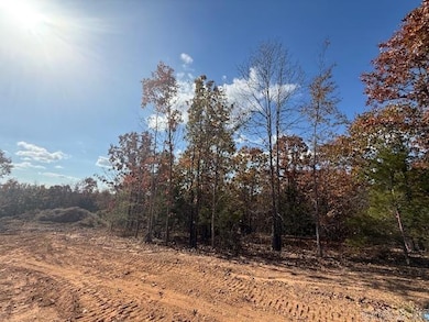 22 Summer Tyme Dr, Greenbrier, AR 72058 - photo 2