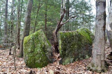 000 Deer Run unit Map 1, Lot 359 J, Henniker, NH 03242 - photo 3