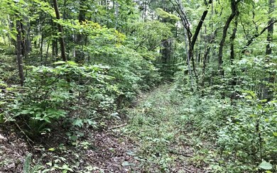 LT43B Mountain Rivers Ln, Mineral Bluff, GA 30559 - photo 3