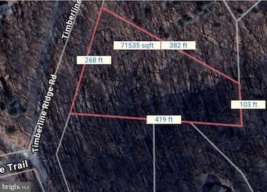 0 Timberline Ridge Rd unit VAWR2012716, Front Royal, VA 22630 - photo 2