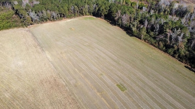 20.85 Acres Highway 917, Nichols, SC 29581 - photo 3