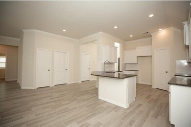 28639 Monarch Cliffs Dr, Fulshear, TX 77441 - photo 6