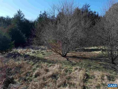 16 Ridgeview Dr, Ruckersville, VA 22968 - photo 3