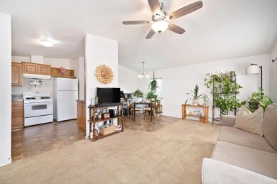 1080 Julie Ln unit 255, South Lake Tahoe, CA 96150 - photo 5