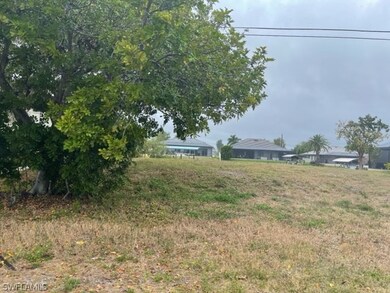 4428 SW 10th Ave, Cape Coral, FL 33914 - photo 2