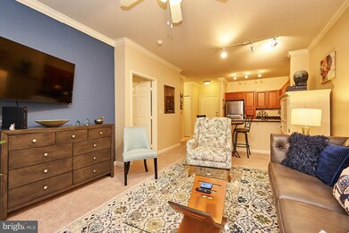 12909 Centre Park Cir unit 202, Oak Hill, VA 20171 - photo 7