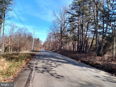 B Timber Ridge Rd, Berkeley Springs, WV 25411 - photo 3