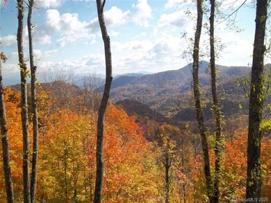 199 Overlook Dr unit 12, Mars Hill, NC 28754 - photo 2