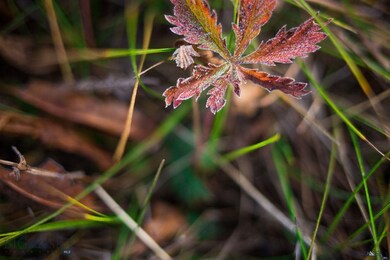 TBD Big Pine Dr unit L2, Big Sky, MT 59716 - photo 5
