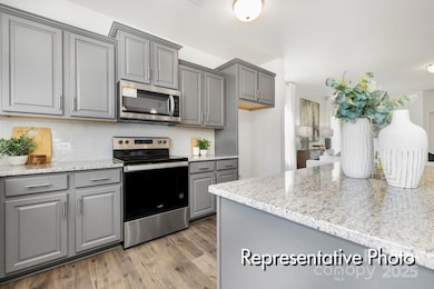 1027 Gondola Rd unit 23Ap, Salisbury, NC 28144 - photo 5