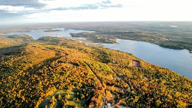 Lot A Dow Farm Rd, Island Falls, ME 04747 - photo 4