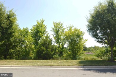 25365 Crossfield Dr, Chantilly, VA 20152 - photo 2